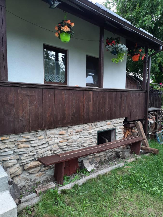 Casa Bunicilor Villa Ciprian Porumbescu Buitenkant foto