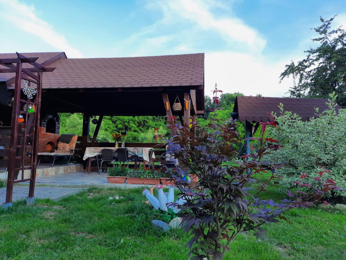 Casa Bunicilor Villa Ciprian Porumbescu Buitenkant foto