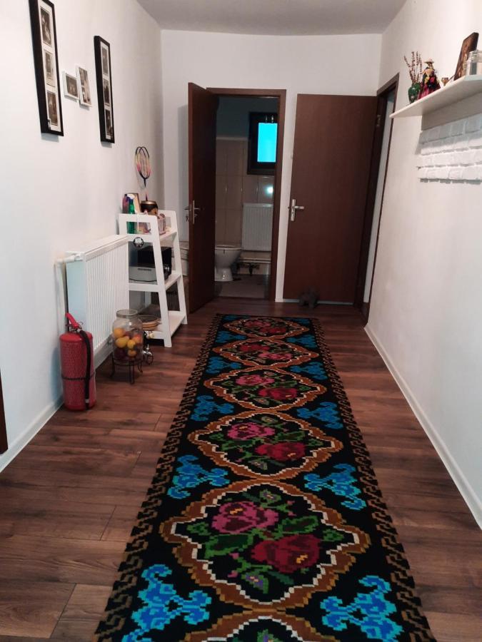 Casa Bunicilor Villa Ciprian Porumbescu Buitenkant foto
