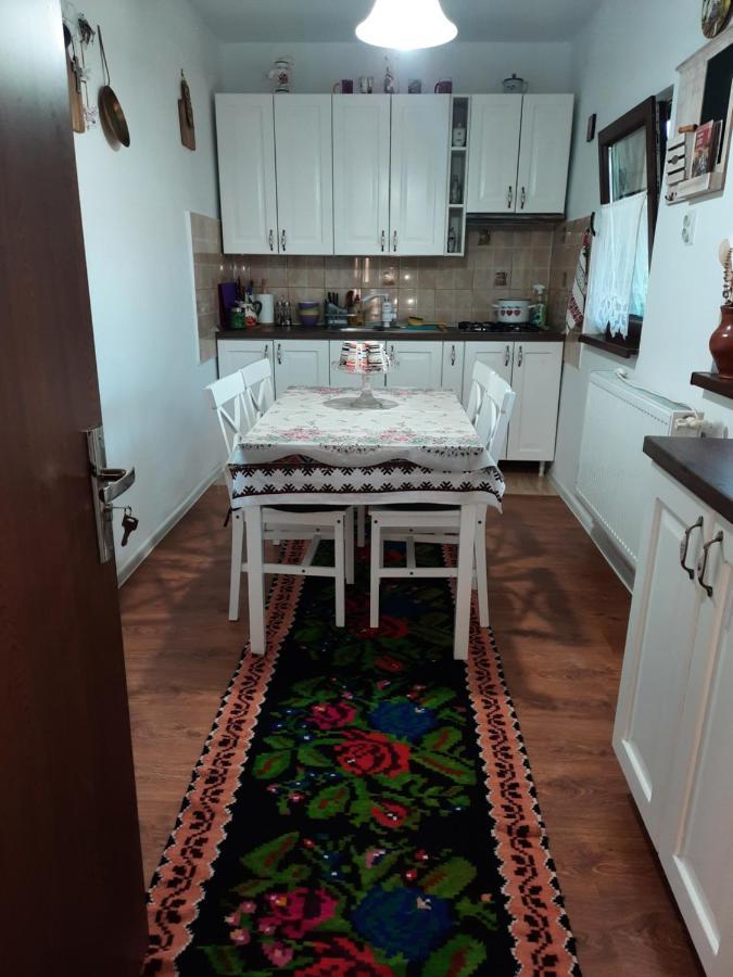 Casa Bunicilor Villa Ciprian Porumbescu Buitenkant foto