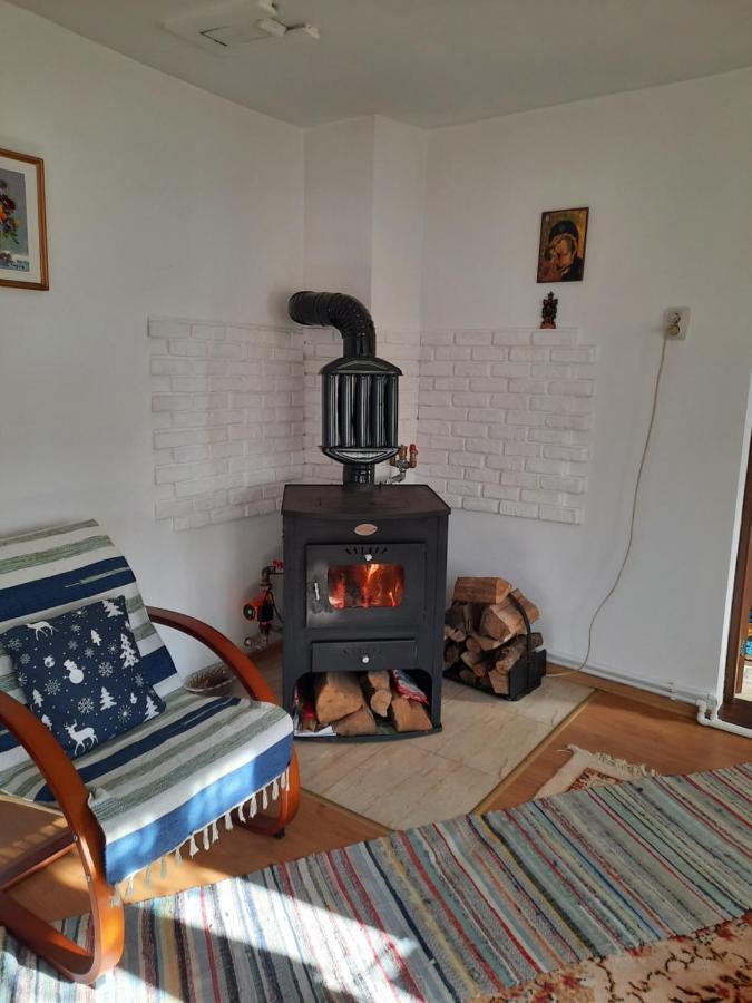 Casa Bunicilor Villa Ciprian Porumbescu Buitenkant foto
