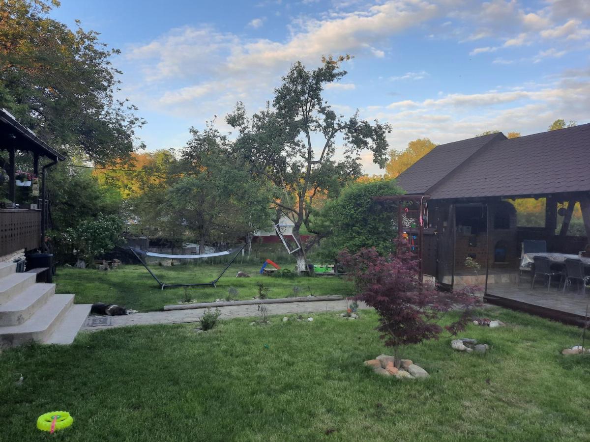 Casa Bunicilor Villa Ciprian Porumbescu Buitenkant foto