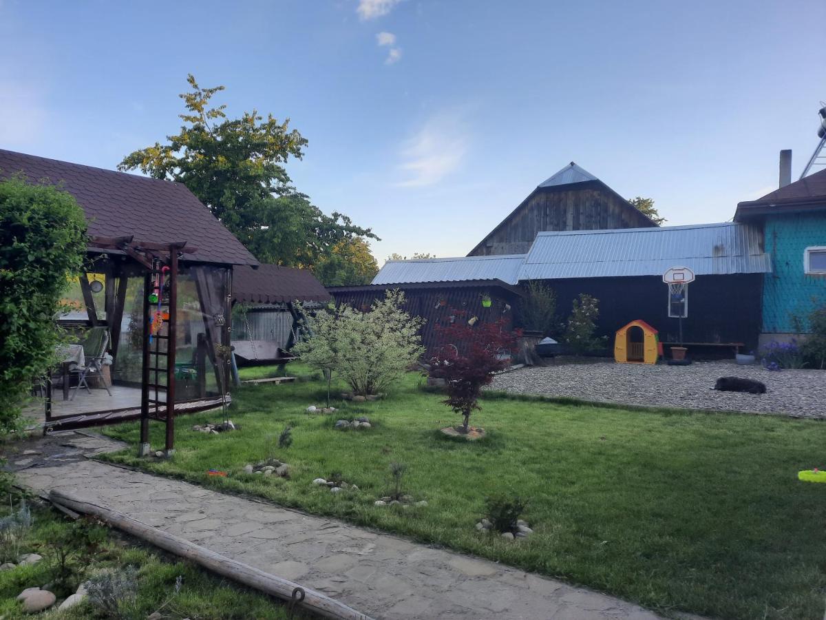 Casa Bunicilor Villa Ciprian Porumbescu Buitenkant foto