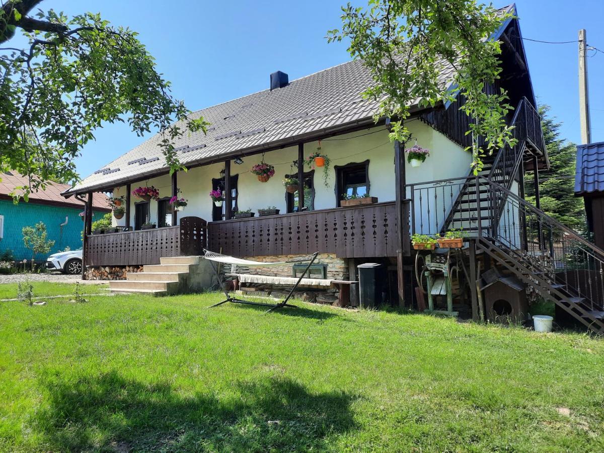 Casa Bunicilor Villa Ciprian Porumbescu Buitenkant foto