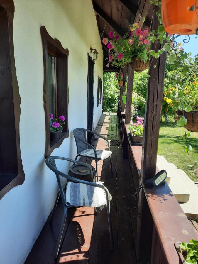 Casa Bunicilor Villa Ciprian Porumbescu Buitenkant foto