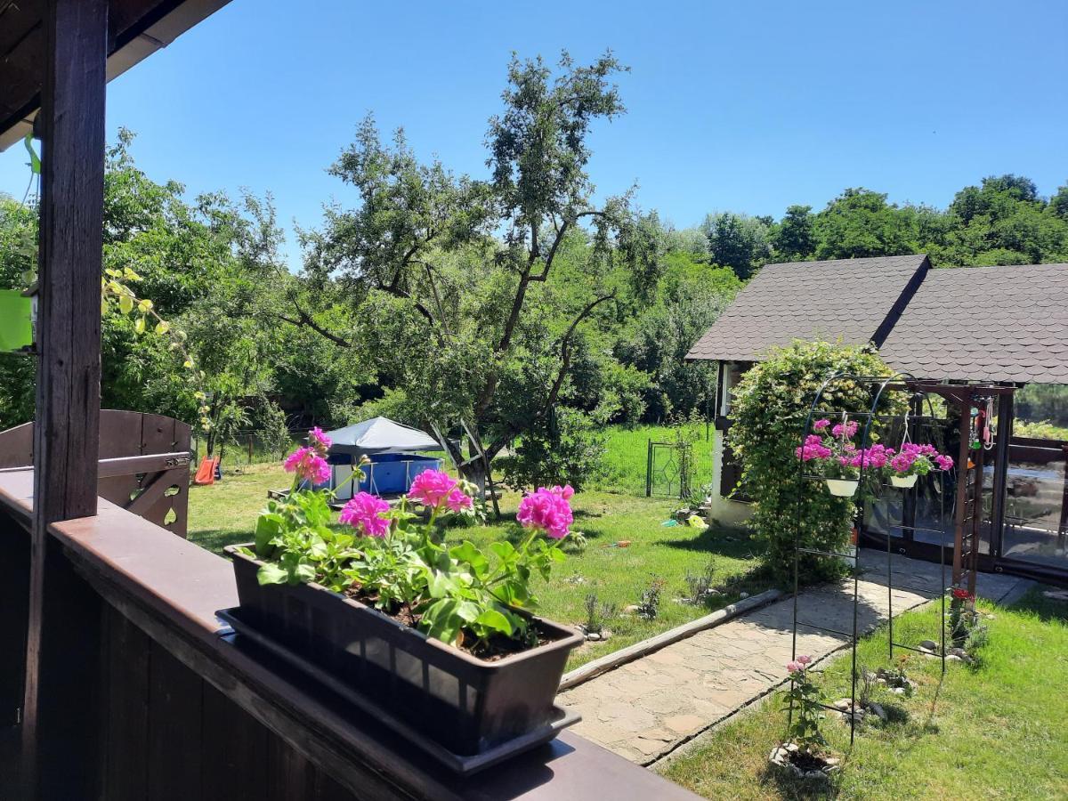 Casa Bunicilor Villa Ciprian Porumbescu Buitenkant foto
