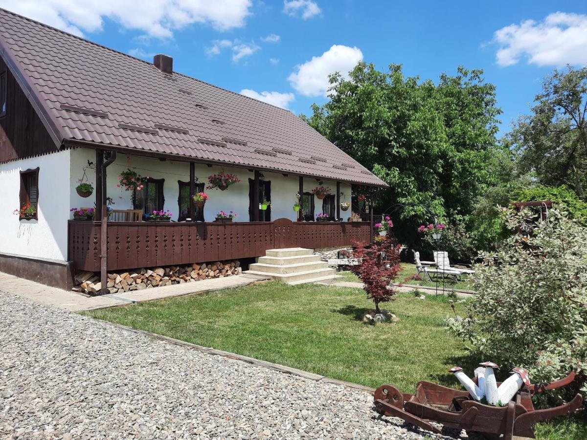 Casa Bunicilor Villa Ciprian Porumbescu Buitenkant foto