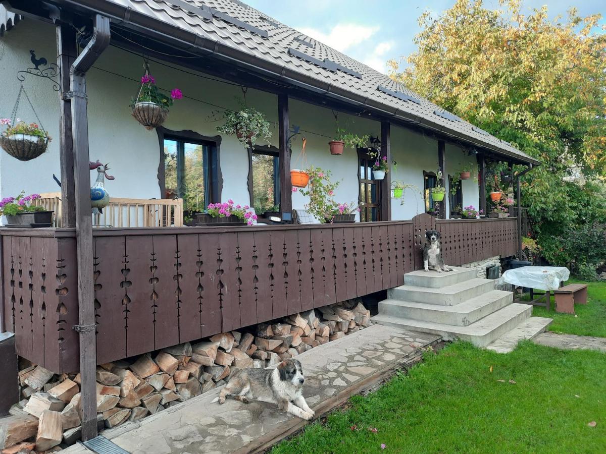 Casa Bunicilor Villa Ciprian Porumbescu Buitenkant foto