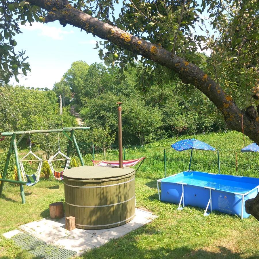 Casa Bunicilor Villa Ciprian Porumbescu Buitenkant foto