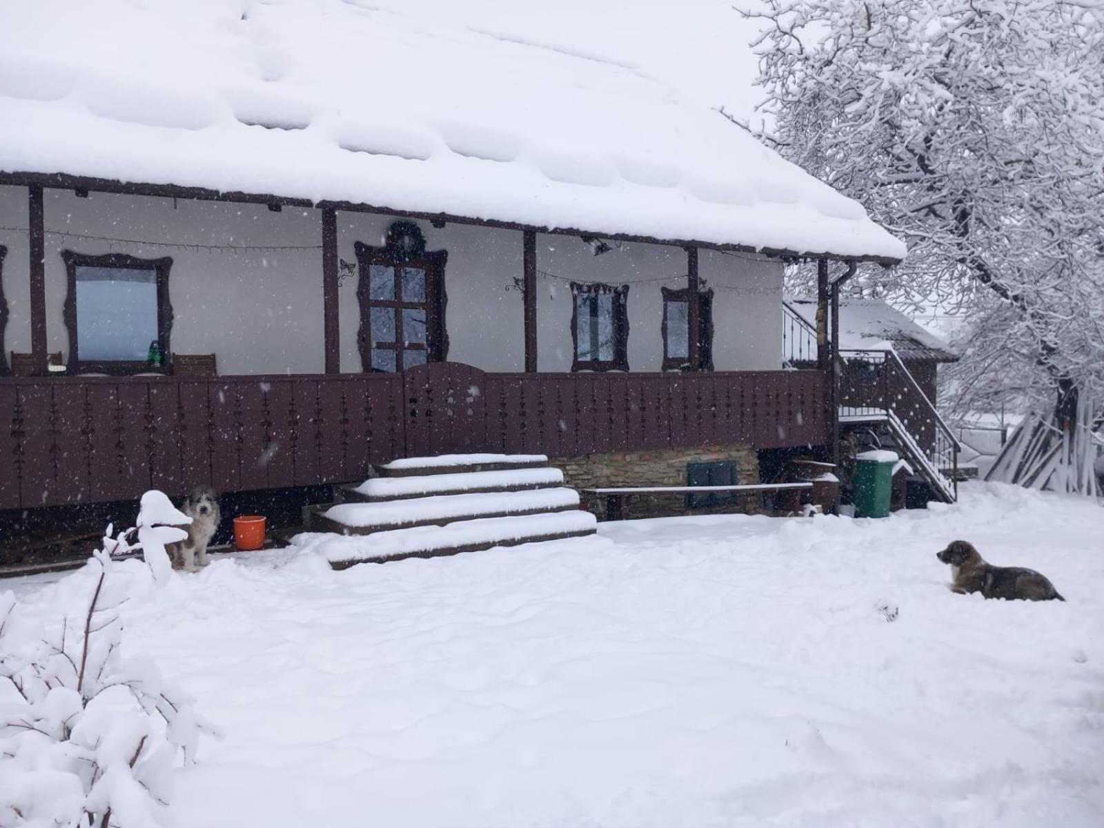 Casa Bunicilor Villa Ciprian Porumbescu Buitenkant foto