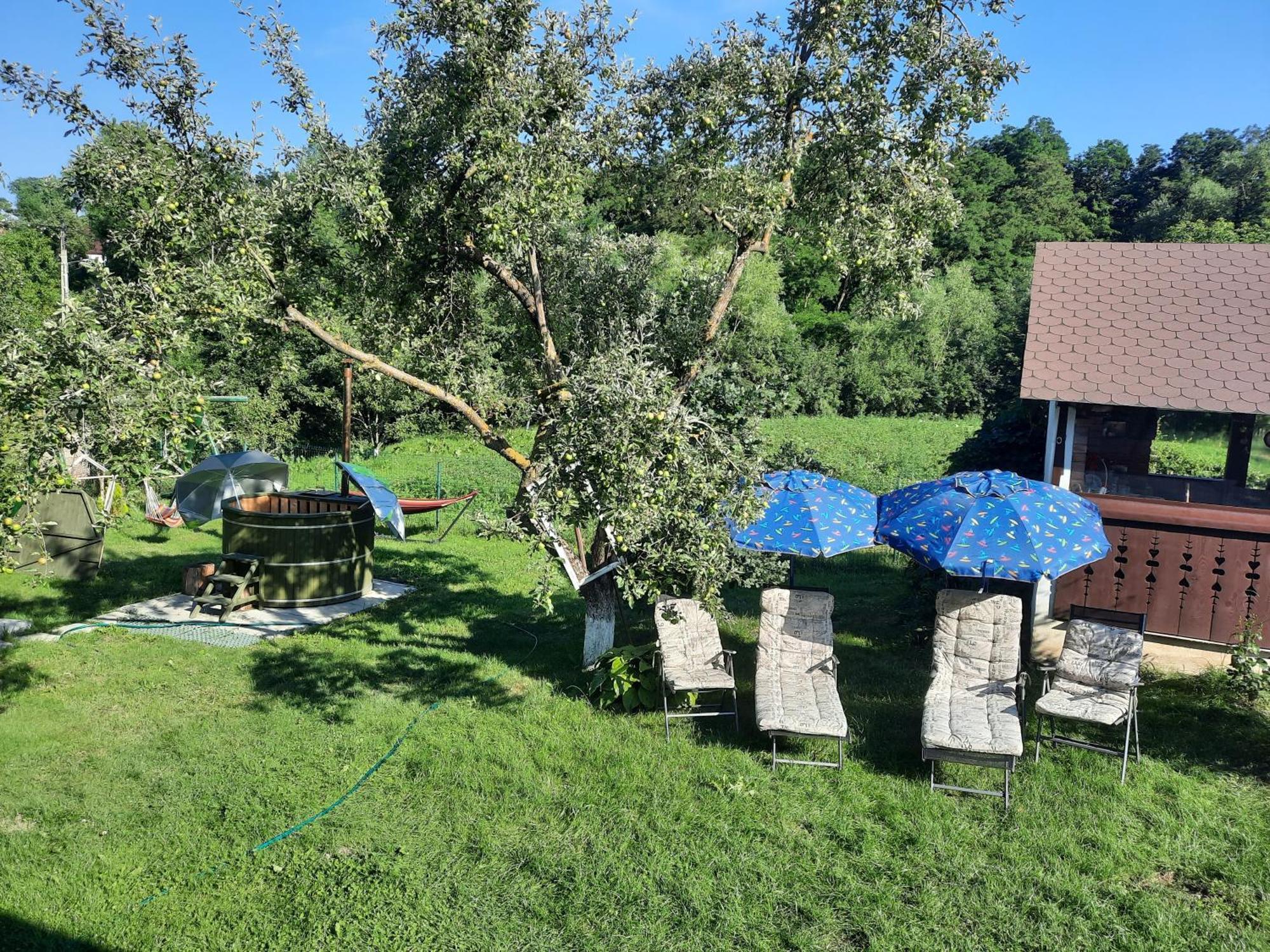 Casa Bunicilor Villa Ciprian Porumbescu Buitenkant foto